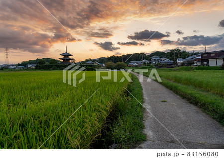 奈良県斑鳩町　世界遺産法起寺の三重塔の見える田んぼと道の夕景 83156080
