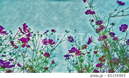 コスモス畑 83156905