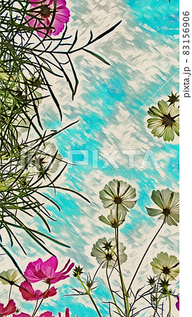 コスモス畑 83156906