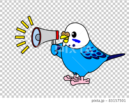 Call for budgerigars 83157501