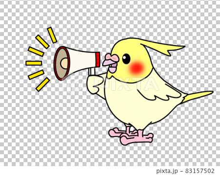 Call for cockatiels 83157502
