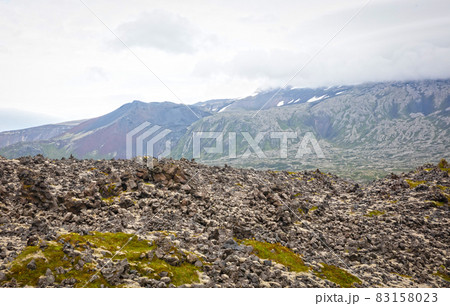 Old lava field covered with green moss 83158023
