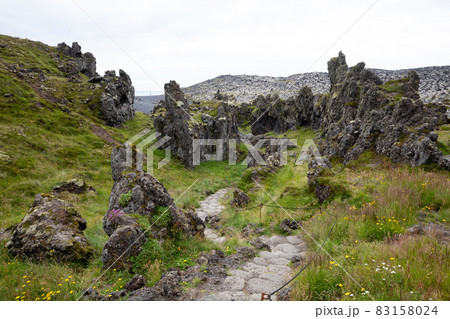 Old lava field covered with green moss 83158024
