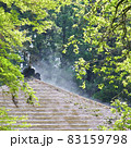春先の朝 83159798