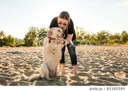 Young female training labrador retriever dog on the beach at sunset 83160384