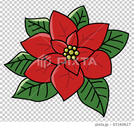 Poinsettia Poinsettia 83160627