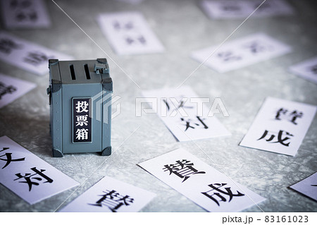ミニチュアの投票箱と賛成反対 ミニチュアの投票箱と賛成反対 83161023