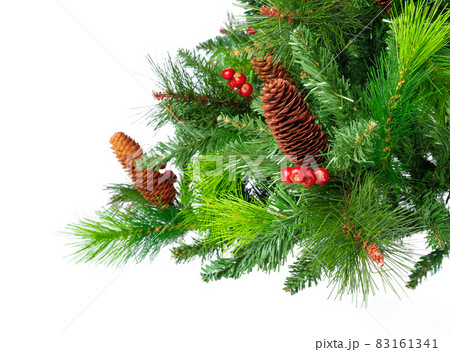 Fir tree branches close up against white background, copy space Fir tree branches close up against white background, copy space 83161341
