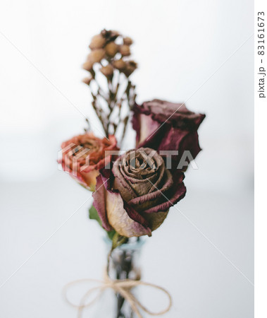 出窓の花瓶に飾られた薔薇のドライフラワーの写真素材