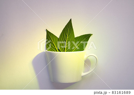 white cup with three leaves white cup with three leaves 83161689