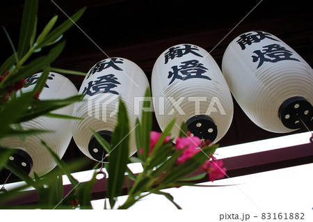 神社に並ぶ提灯 神社に並ぶ提灯 83161882