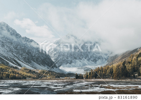 Mountain valley view. Snow covered peaks and yellow larch trees. Mountain valley view. Snow covered peaks and yellow larch trees. 83161890