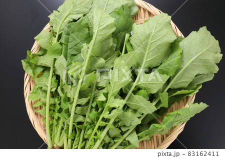 大根葉 大根葉 83162411