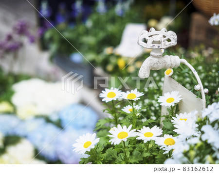Water tap Outdoor Garden with white flowers Water tap Outdoor Garden with white flowers 83162612