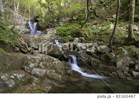 五段の滝（鳥取県八頭郡若桜町） 83163467