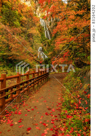 【北海道東川町天人峡】紅葉する羽衣の滝　10月 83164202