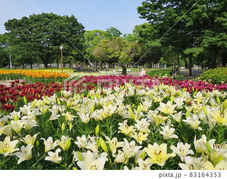 千種公園 千種公園 83164353