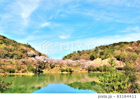 永楽ダム・春の風景 83164411