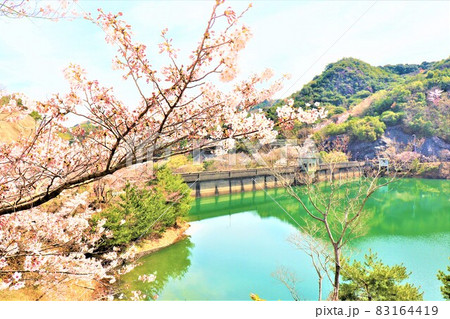 永楽ダム・春の風景 永楽ダム・春の風景 83164419