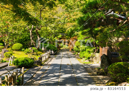 秋の松島 円通院 秋の松島 円通院 83164553