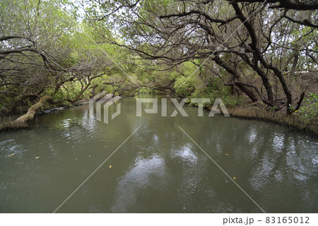 景色 風景 自然 83165012