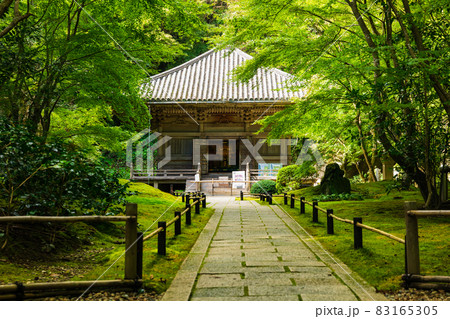 秋の松島　円通院　三慧殿 83165305