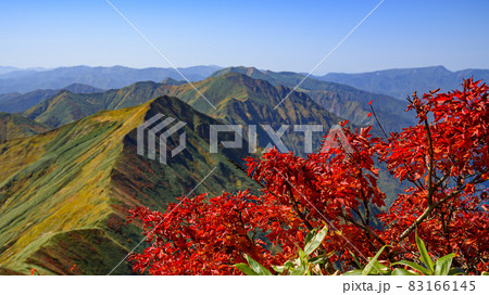 谷川岳展望・山並みと紅葉 83166145