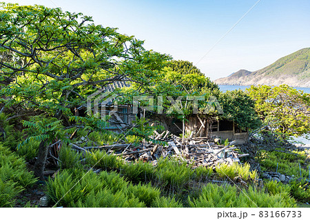野崎島 風景 野崎島 風景 83166733