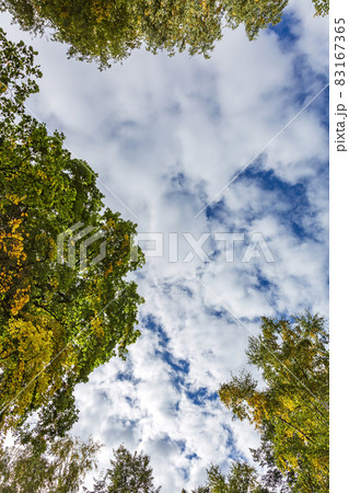 Clouds in the sky when the weather changes 83167365