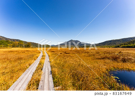 尾瀬ヶ原の紅葉 83167649