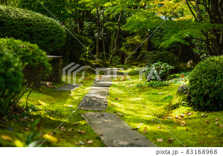 秋の松島　円通院　庭園 83168968