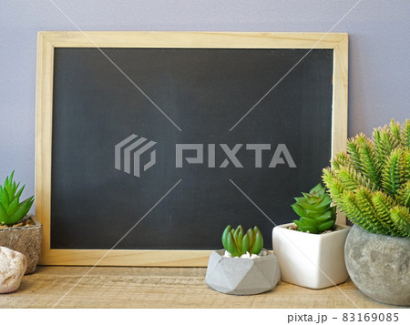 Mock up school board and green cactus Mock up school board and green cactus 83169085