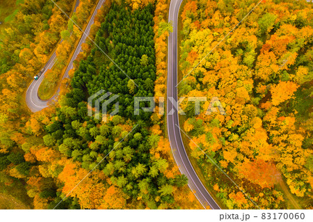 Aerial view of the autumn forest and road between the hills. Aerial view of the autumn forest and road between the hills. 83170060
