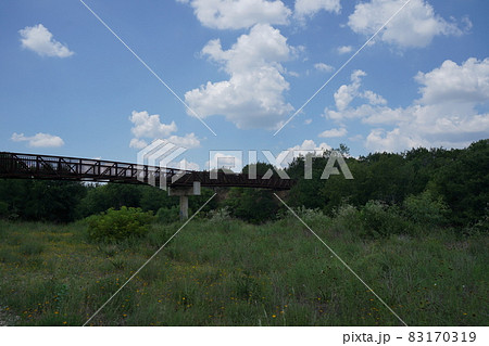 テキサス州サンアントニオのトレイルコース中の橋 83170319