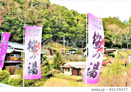 賀名生梅林 83170477