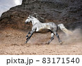 unstoppable run of a white free horse against the backdrop of gloomy rocky mountains  83171540