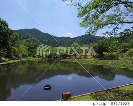 宇和運動公園王子池（愛媛県西予市宇和町） 83171623