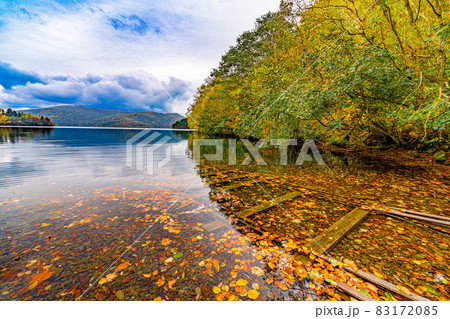 北海道　十勝　然別湖　湖底線路　水中線路　千と千尋の神隠し　水中レール　紅葉 83172085