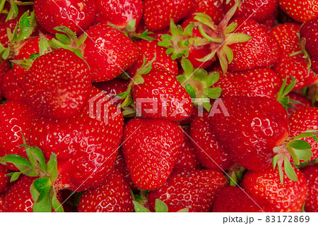 Close up of fresh ripe strawberry fruits Close up of fresh ripe strawberry fruits 83172869