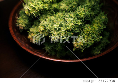 Cannabis growing, harvest time. Trimmed weed in round dish isolated on black background 83172930