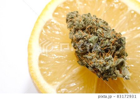 Cannabis bud macro view, close-up, flat lay. Lemon haze marijuana bloom on white background. 83172931