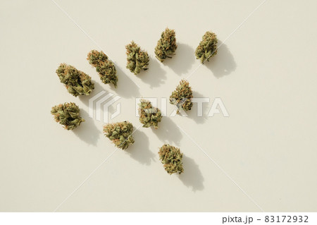 Marijuana buds closeup. Medicinal CBD cannabis 83172932