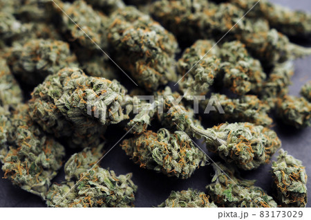 Marijuana buds close-up. Medicinal cannabis flowering background. Marijuana buds close-up. Medicinal cannabis flowering background. 83173029