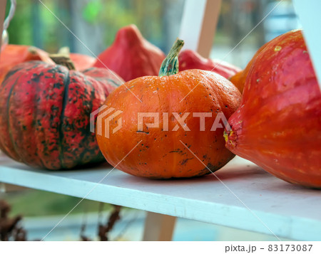 Pumpkins are on a shelf at the farmers' market. Halloween sale. Close-up. Pumpkins are on a shelf at the farmers' market. Halloween sale. Close-up. 83173087