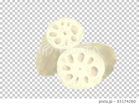 手描きのれんこん 83174260