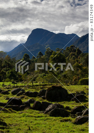 Beautiful landscape at the Cocora Valley with the famous Morrogacho Hill on the background 83174349