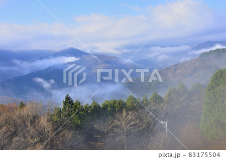 丹沢の大野山からの展望　雲湧く山稜 83175504