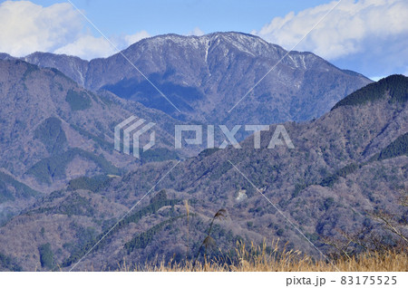 丹沢の大野山より大室山を望む 丹沢の大野山より大室山を望む 83175525