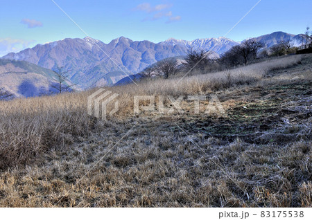 丹沢山地大野山よりカヤト原と雪化粧した西丹沢と丹沢主脈の山々 83175538