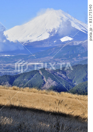 丹沢山地の大野山より雪煙舞う富士山を望む 丹沢山地の大野山より雪煙舞う富士山を望む 83175540